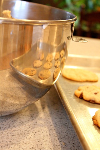 Cookies 3