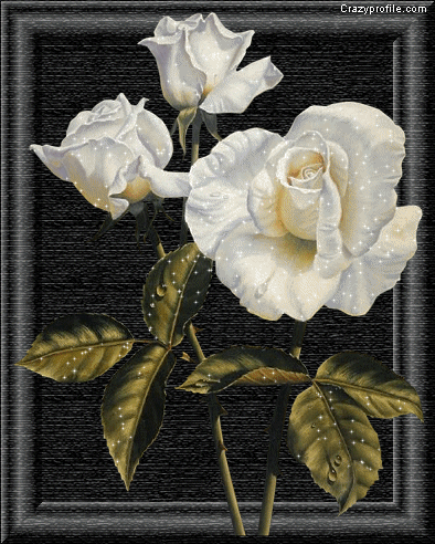 W1.gif