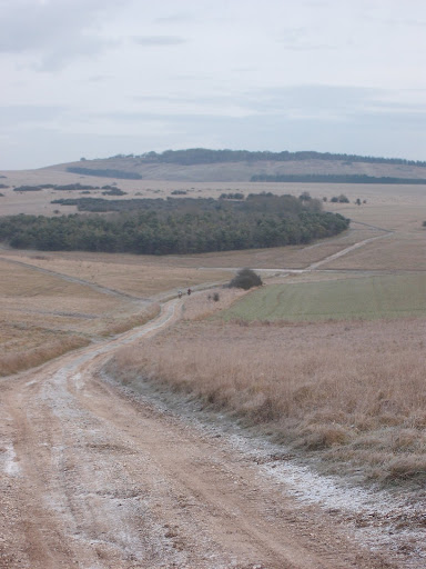 DSCF9702.jpg