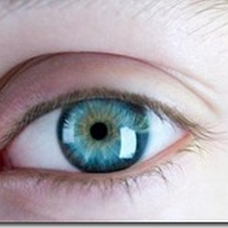 Descubierto el origen de los ojos azules