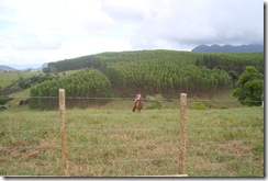 DSC01304