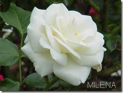 CAN9MU94CAMZ09MDCARY9VFICARTJSY9CA4606KICA3PH3T4CA785WMACA3G0R8TCAARZ1M0CAGROYHZCA9LUWZGCASXLM0ECAHGI2WNCAYKYYPDCATS0GA9CA2256VBCAQAZQ3NCAVEC2JU