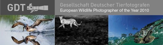 bruno rezende, coluna zero, fotografia, photo, concurso, foto, GDT, European Wildlife Photographer 2010