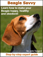 [Pet] 米格魯照顧技巧建議 - 阿祥的網路筆記本