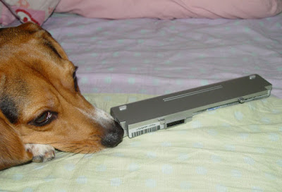 [NB]工人舍SH系列6Cell大電分享！ - 阿祥的網路筆記本