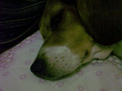 [Mobile]Nokia 5800 XpressMusic入手！不過不是我的… - 阿祥的網路筆記本