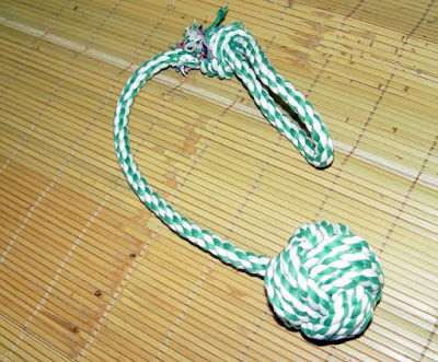 [Event]2009台北水族暨寵物用品展一日遊！ - 阿祥的網路筆記本