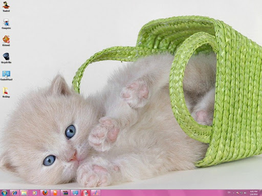 cute puppies and kittens wallpaper. Cute Cats Windows 7 Theme With