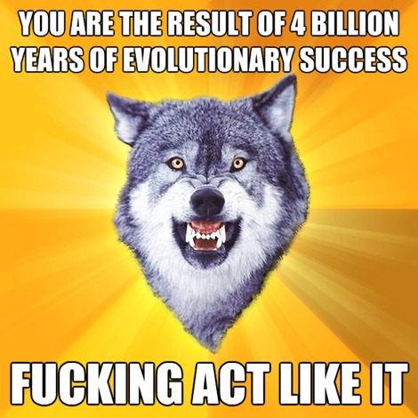 Courage Wolf Evolution