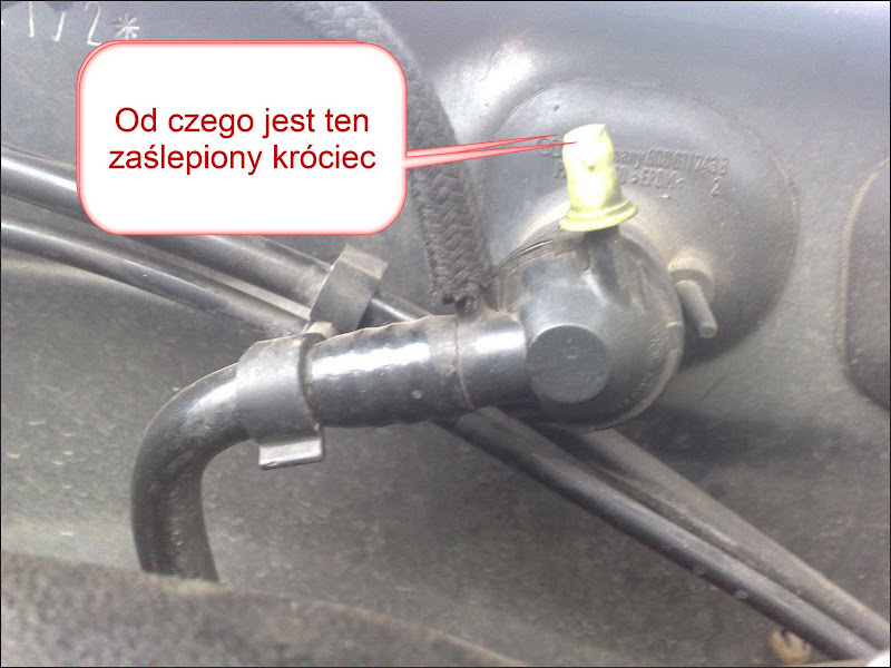 201005041784.jpg