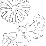 flores_5.jpg