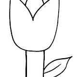 primavera-tulipan-01.jpg