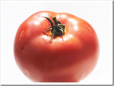 101008_big_tomato