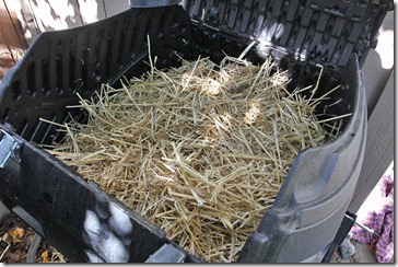 101123_straw_in_compost_tumbler