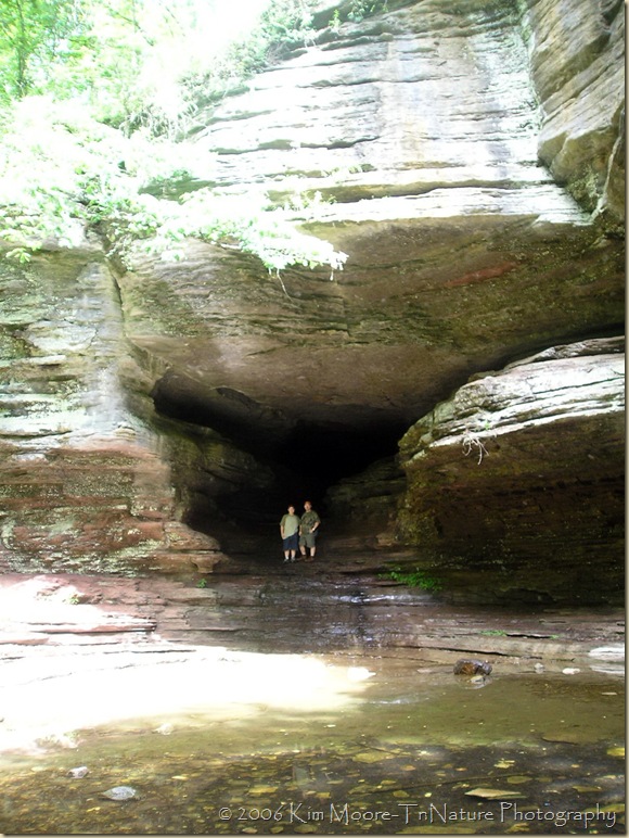 Cob Cave2