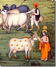 Lord Krishna grew up in the village of Vrindavana