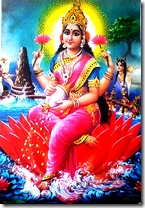 Lakshmi Devi - The Goddess of Wealth