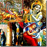 Lord Krishna's activities