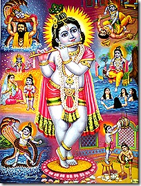 Krishna's activities