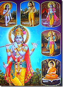 Krishna and His avataras