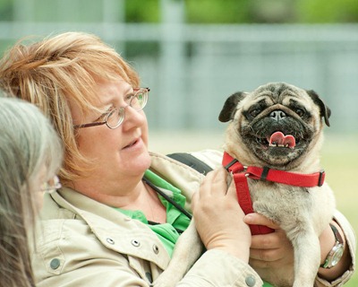 DSC_2964_pug[1]