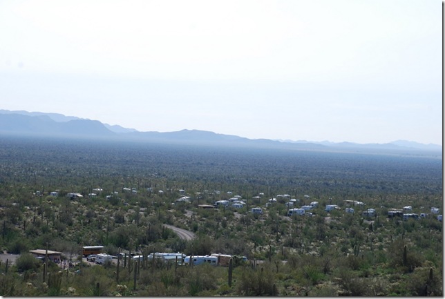 03-04-10 B Desert View Trail - OPCNM (46)