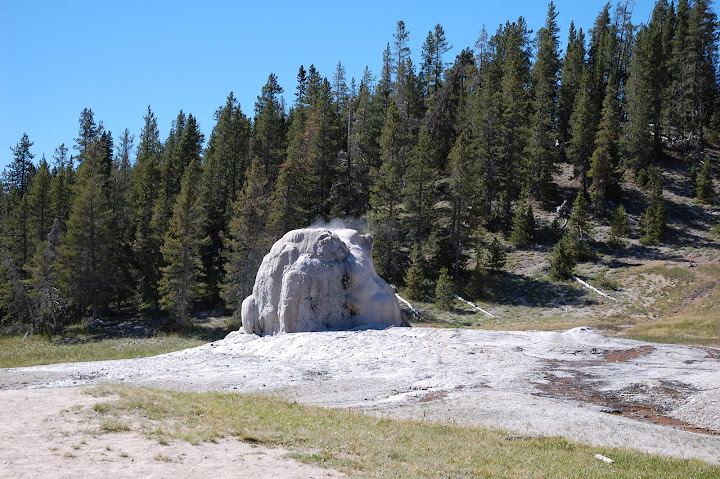 DSC_8793.JPG
