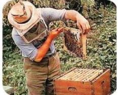 [apicultor[4].jpg]