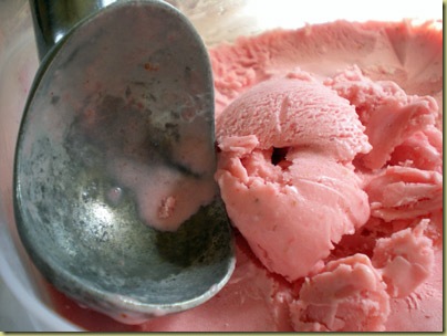 Strawberry-gelato