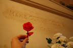 Uma rosa de guardanapo para Marie Curie no Panthéon