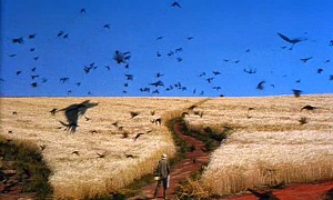 Dreams - Wheat Field with Crows