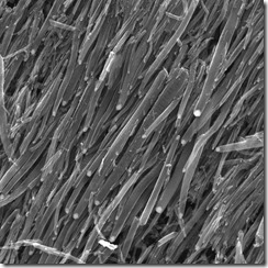 Imagem 07: Nanotubos de carbono