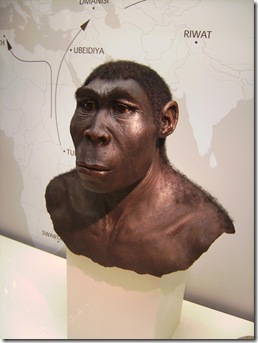 Reconstrução artística do Homo erectus em Westfälisches Museum für Archäologie na cidade de Herne, na Alemanha.