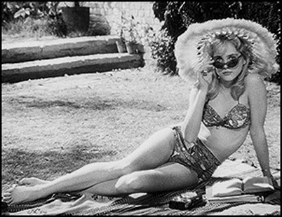 316339_lolita
