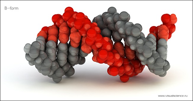 DNA-B-form-image