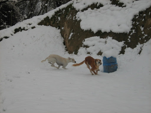 IMG_2456.JPG
