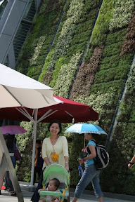 未來城市區某館外，牆上屋頂都種著綠色植物，不知道能不能成真啊…