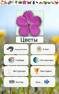 Lastest EcoGuide: Russian Wild Flowers APK for Android