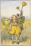 buttercup fairy