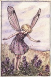 [the wild thyme fairy[3].jpg]