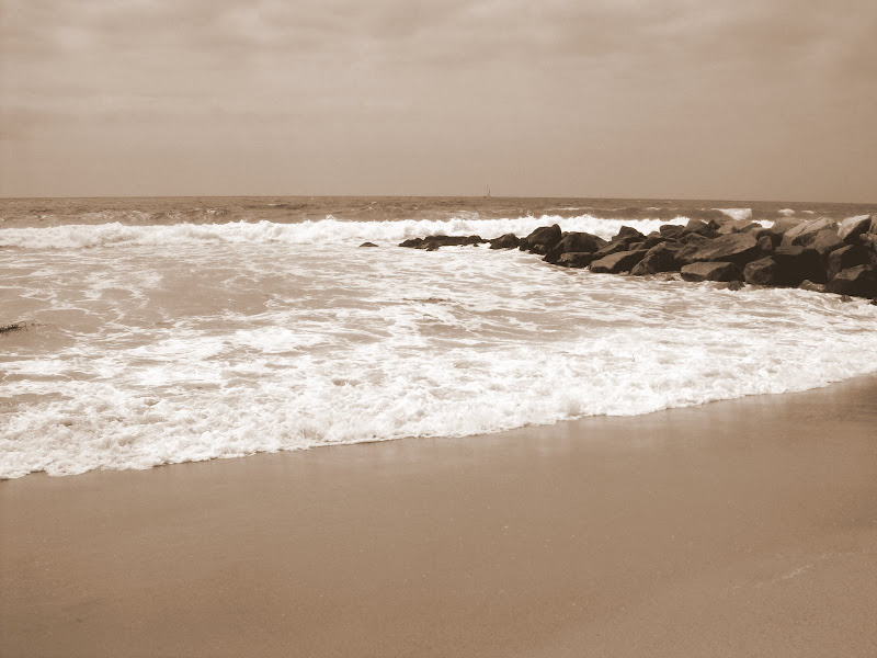 Forum Image: http://lh5.ggpht.com/_SdF0uuk3iUc/Sea1aR09pgI/AAAAAAAAB_0/XOIi2yEj_6w/s800/100_0269.JPG