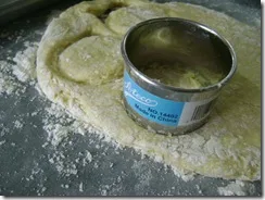 Cookie Cutter and scone dough