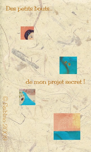 bouts projet secret