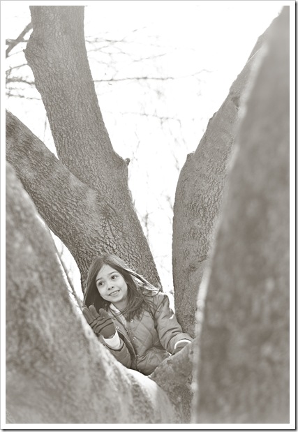 keona in tree