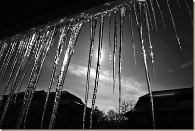 ice-spikes-in-the-sun
