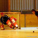 Rink Hockey 25.jpg