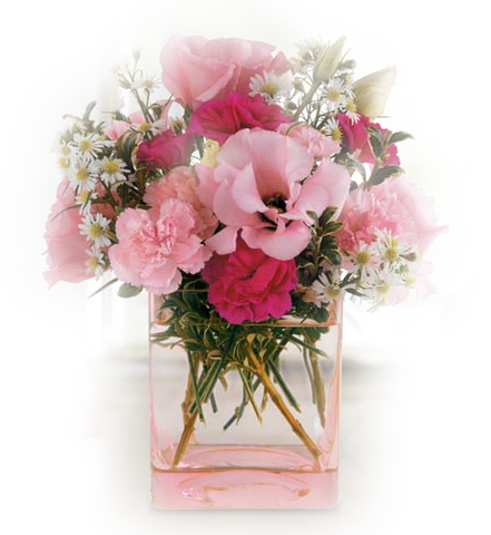 vase-of-pinks_lizztish.png