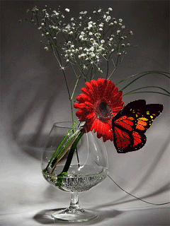 borboleta25.gif