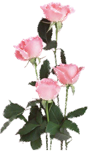 rosas-recados-para-orkut81.png=800width=