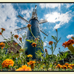 Waltham Windmill by Simon Trott - Buildings & Architecture Architectural Detail